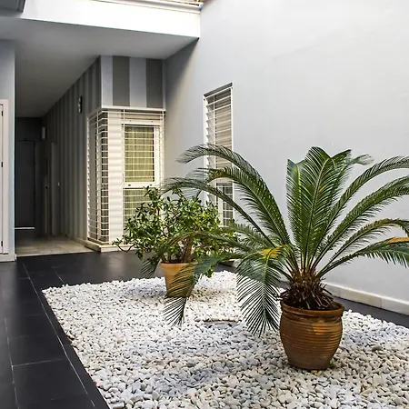 Apartment Descubrehome Sol Town Center Private Terrace *